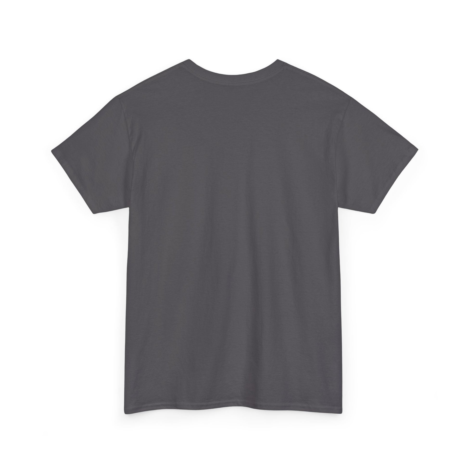 Back view of the True Crime & Moonshine Unisex Graphic Tee in gray color, showcasing its comfortable fit and vintage casual style for true crime lovers.