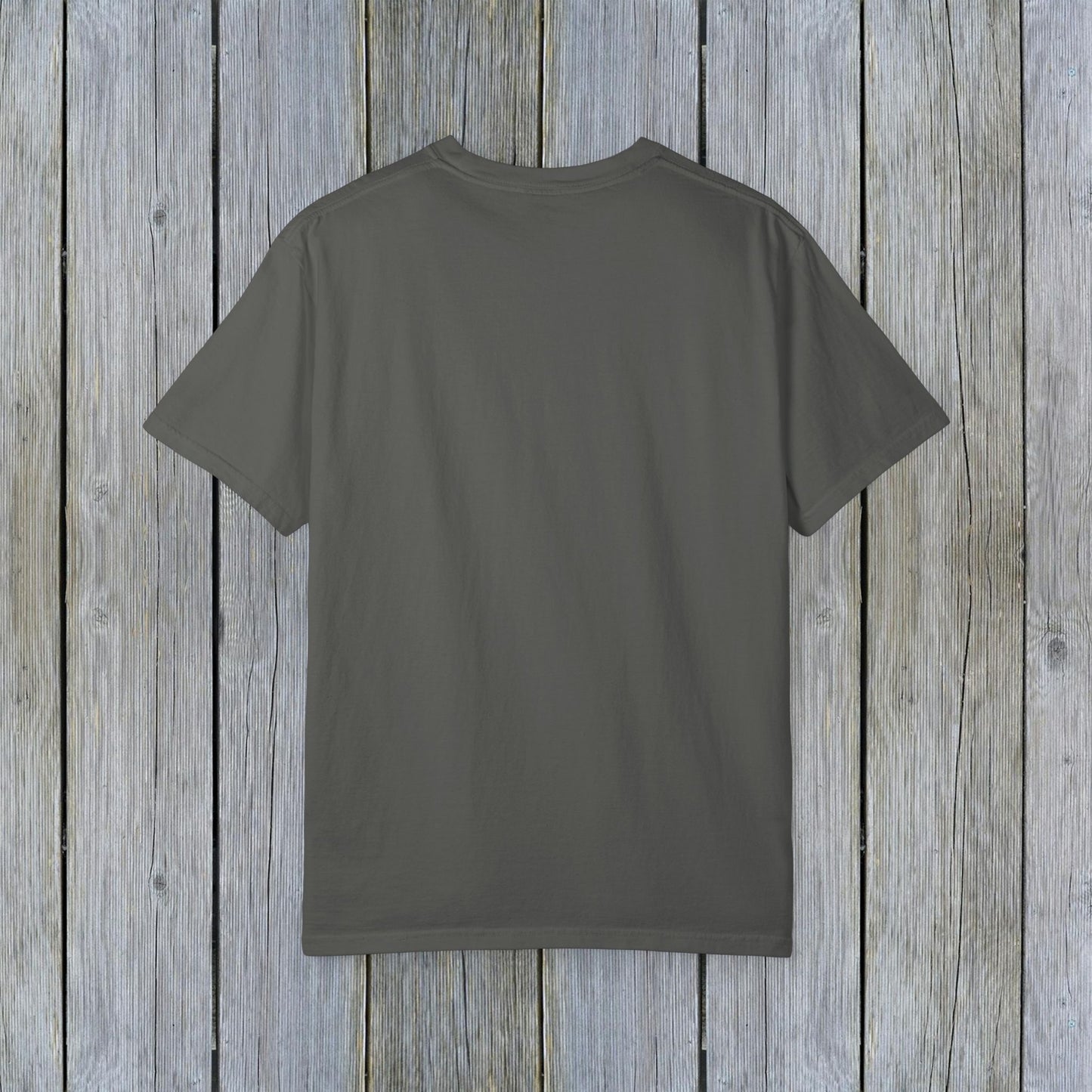 The back view of the Unisex Garment-Dyed Lake Rules Tee in dark gray, showing its minimalist style and comfortable fit for all-day wear.