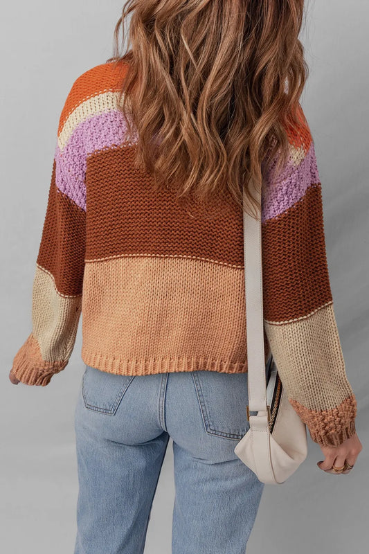 Stylish Colorblock Striped Sweater with Round Neck - View of the back of a model in a vibrant, chunky knit sweater with colorblock stripes in brown, purple, and cream.